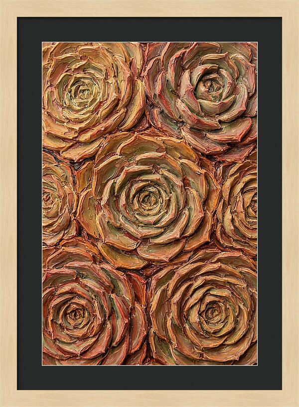 Succulent Rosette Arrangement