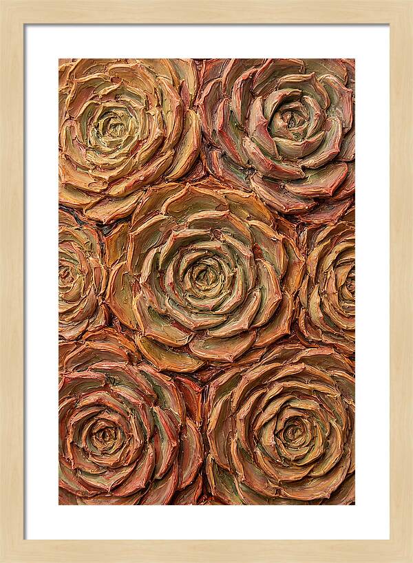 Succulent Rosette Arrangement