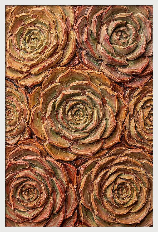 Succulent Rosette Arrangement