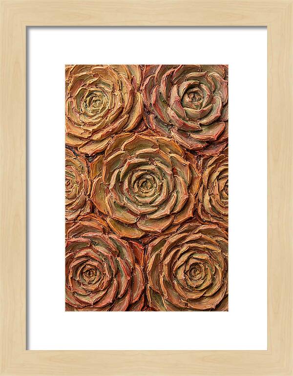 Succulent Rosette Arrangement