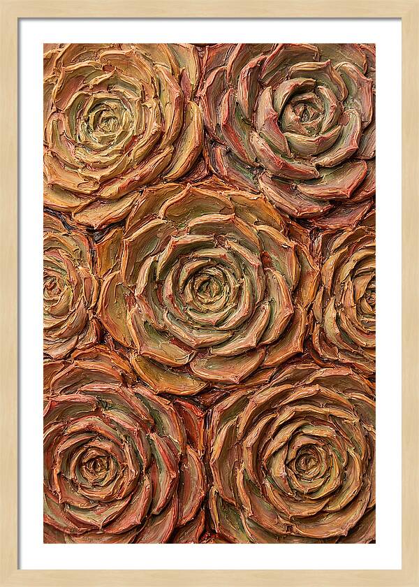 Succulent Rosette Arrangement