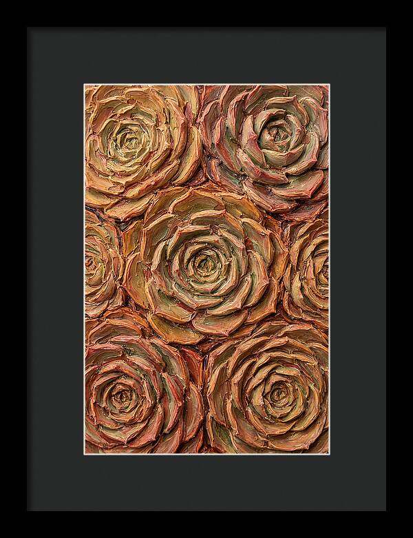 Succulent Rosette Arrangement
