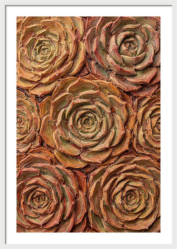 Succulent Rosette Arrangement