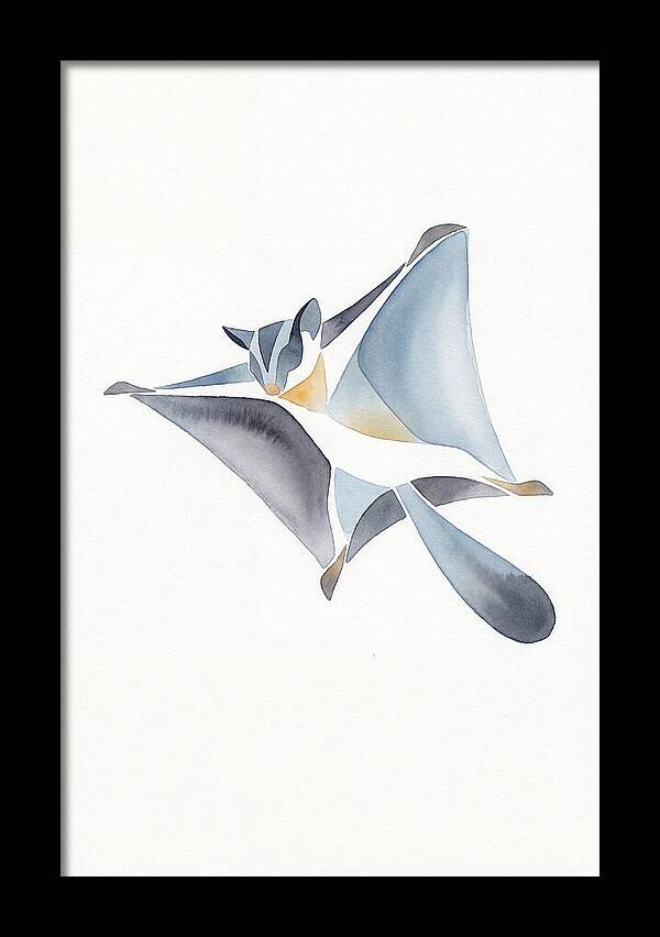 Sugar Glider In Flight