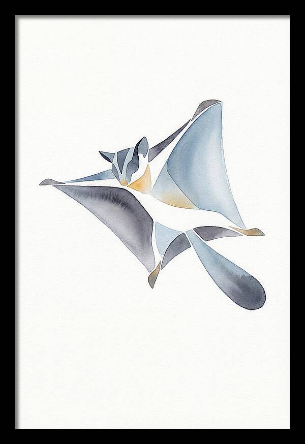 Sugar Glider In Flight