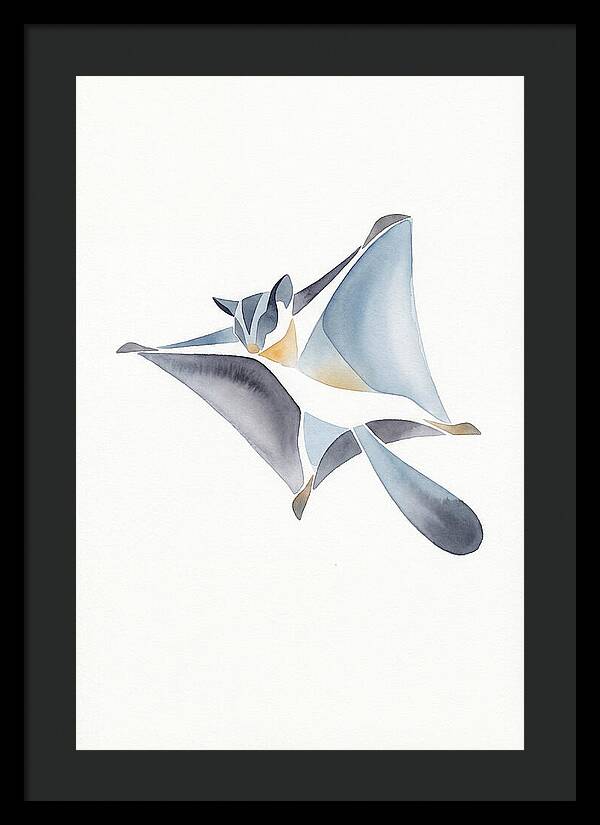 Sugar Glider In Flight