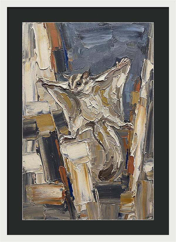 Sugar Glider In Motion