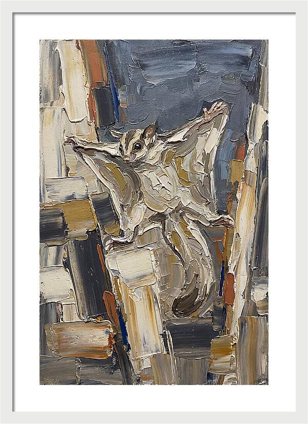 Sugar Glider In Motion