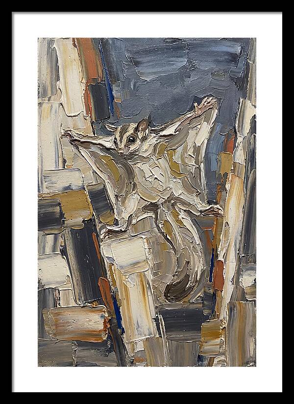 Sugar Glider In Motion