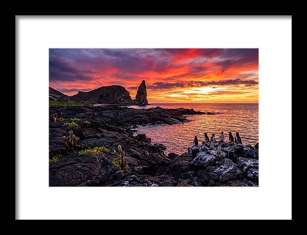 Sullivan Bay Sunset Serenity