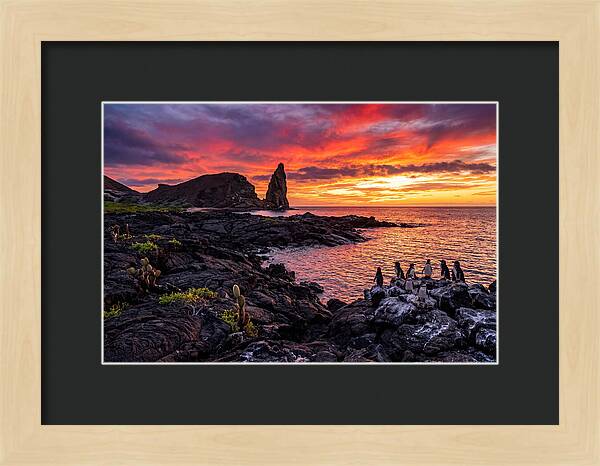 Sullivan Bay Sunset Serenity
