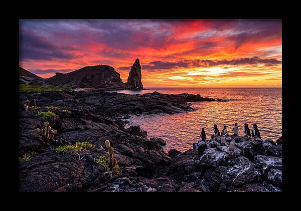 Sullivan Bay Sunset Serenity