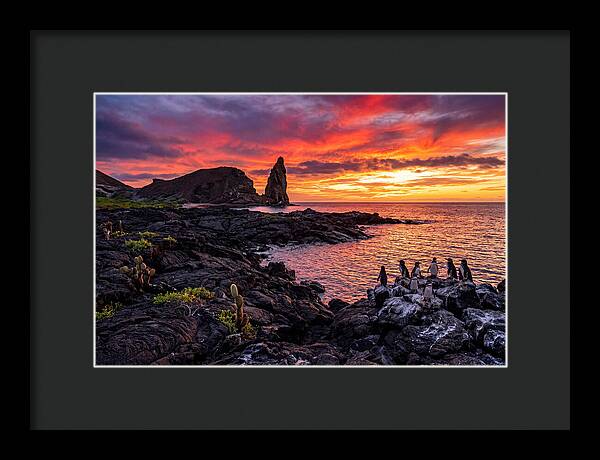 Sullivan Bay Sunset Serenity