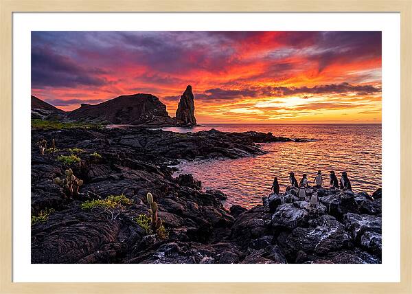 Sullivan Bay Sunset Serenity