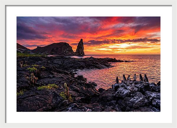 Sullivan Bay Sunset Serenity