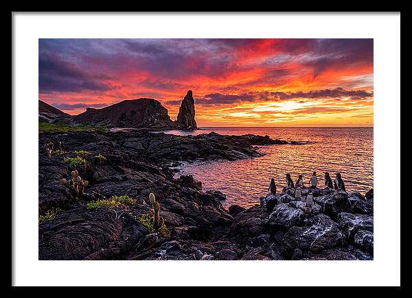 Sullivan Bay Sunset Serenity