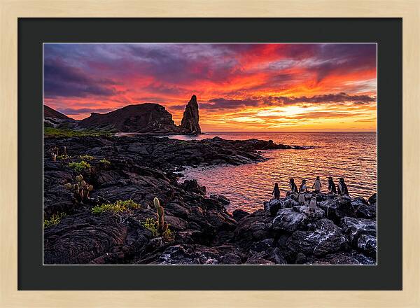 Sullivan Bay Sunset Serenity