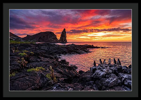Sullivan Bay Sunset Serenity