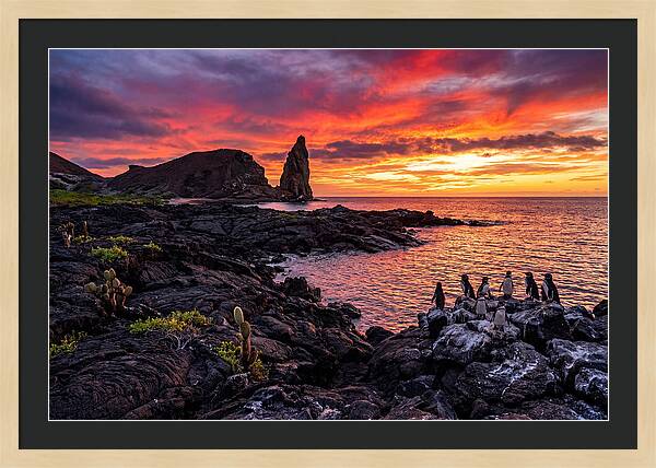 Sullivan Bay Sunset Serenity