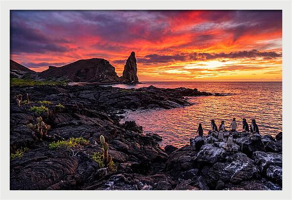 Sullivan Bay Sunset Serenity