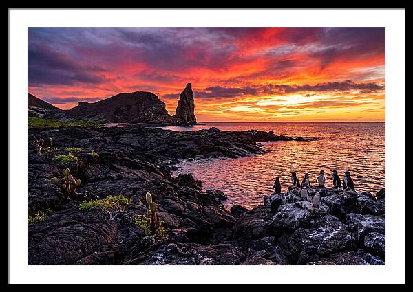 Sullivan Bay Sunset Serenity