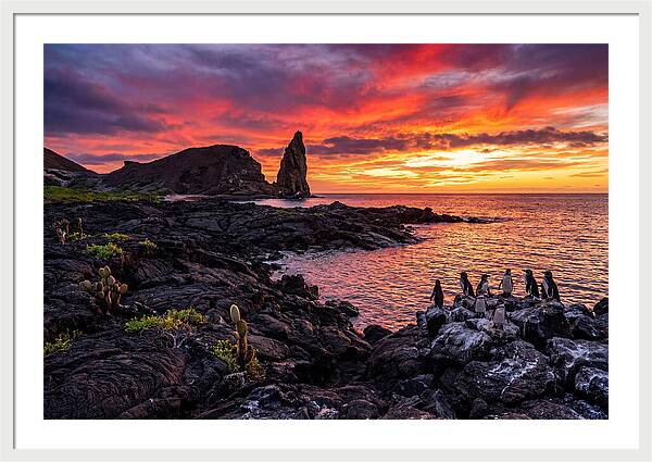 Sullivan Bay Sunset Serenity