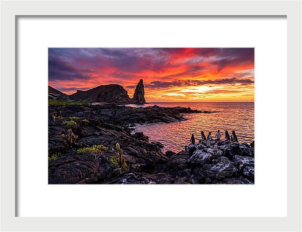 Sullivan Bay Sunset Serenity