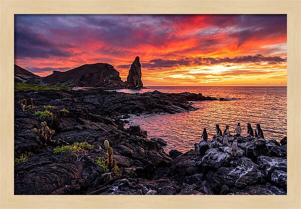 Sullivan Bay Sunset Serenity