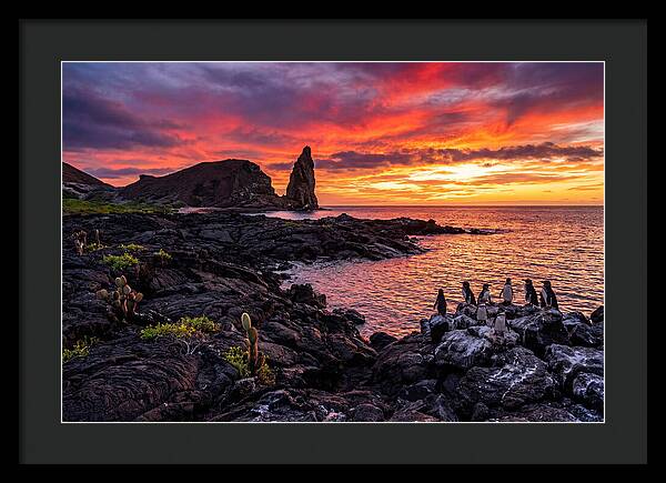 Sullivan Bay Sunset Serenity