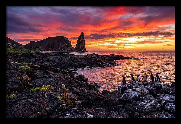 Sullivan Bay Sunset Serenity