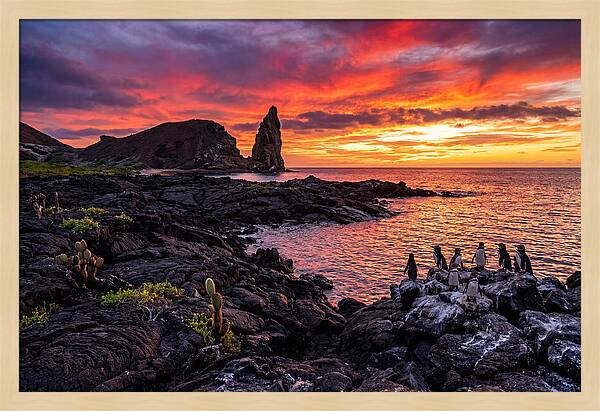 Sullivan Bay Sunset Serenity