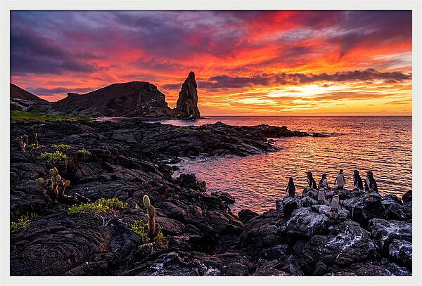 Sullivan Bay Sunset Serenity