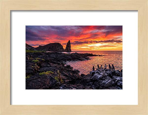 Sullivan Bay Sunset Serenity