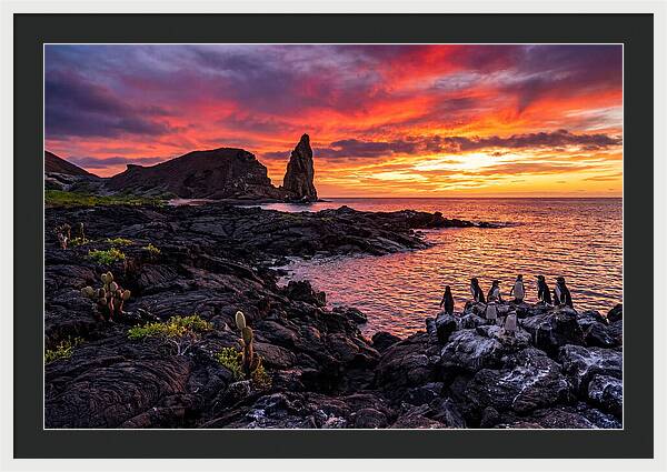 Sullivan Bay Sunset Serenity