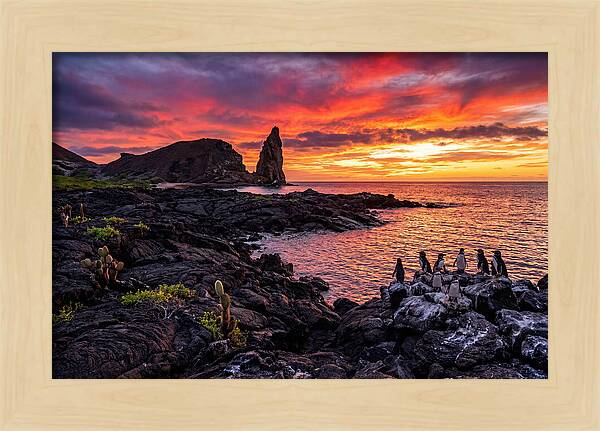Sullivan Bay Sunset Serenity