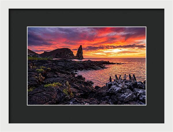 Sullivan Bay Sunset Serenity