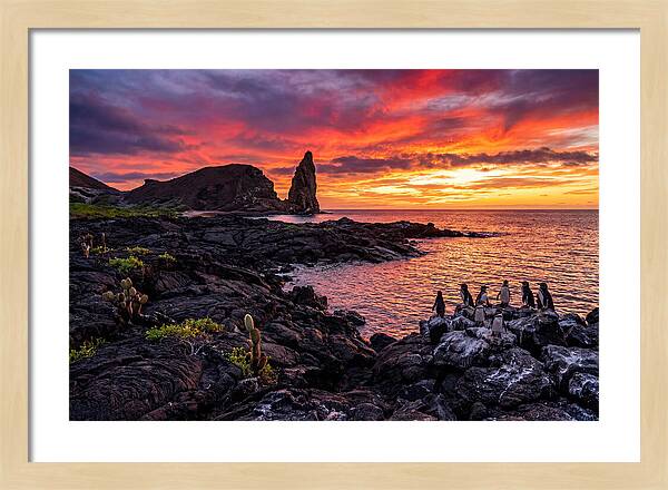 Sullivan Bay Sunset Serenity