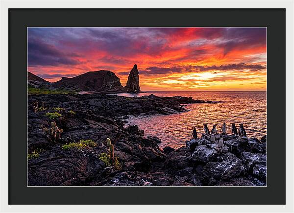 Sullivan Bay Sunset Serenity