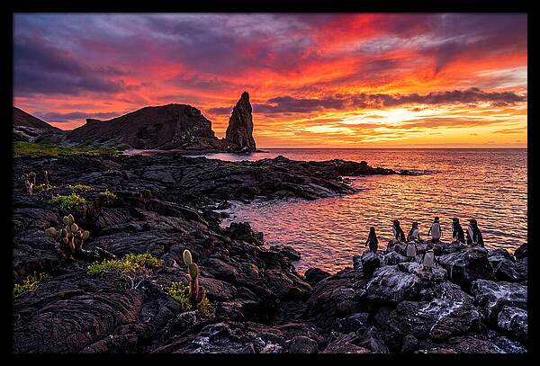Sullivan Bay Sunset Serenity