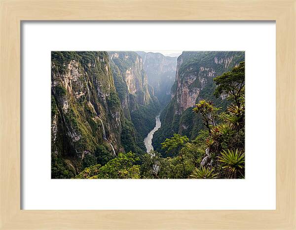 Sumidero Canyon Serenity