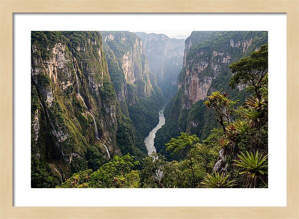 Sumidero Canyon Serenity