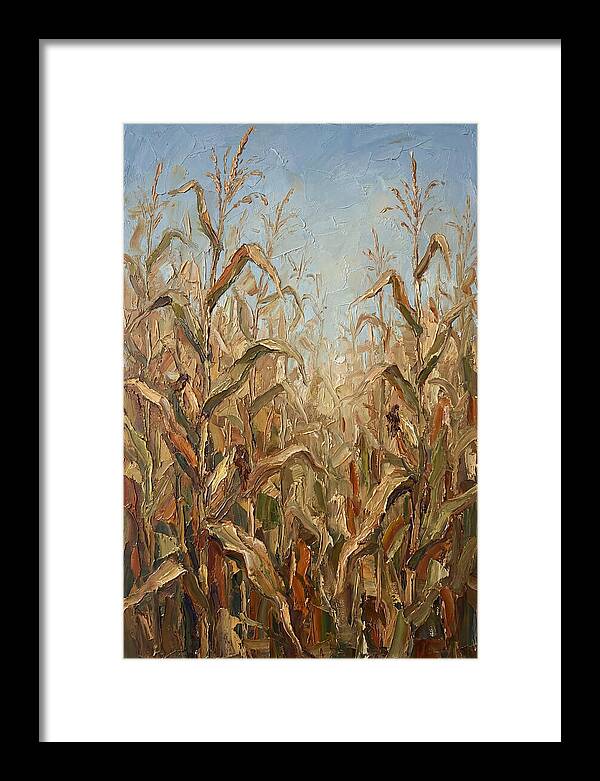 Summer Cornfield Serenity