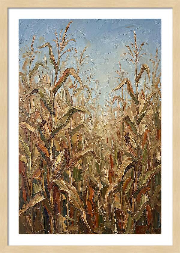 Summer Cornfield Serenity
