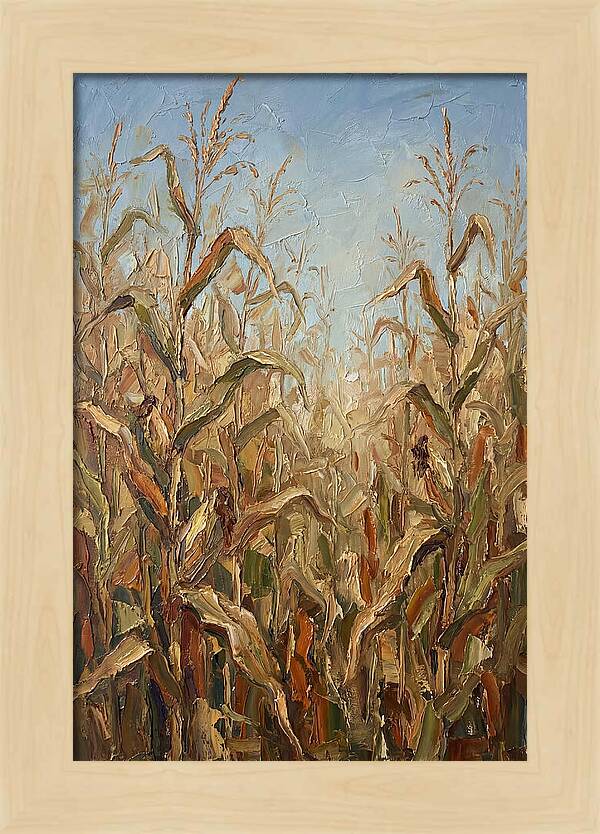 Summer Cornfield Serenity