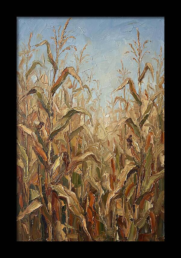 Summer Cornfield Serenity