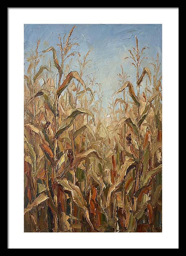Summer Cornfield Serenity