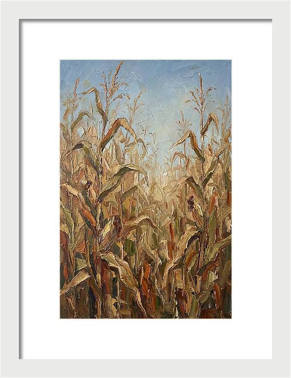 Summer Cornfield Serenity
