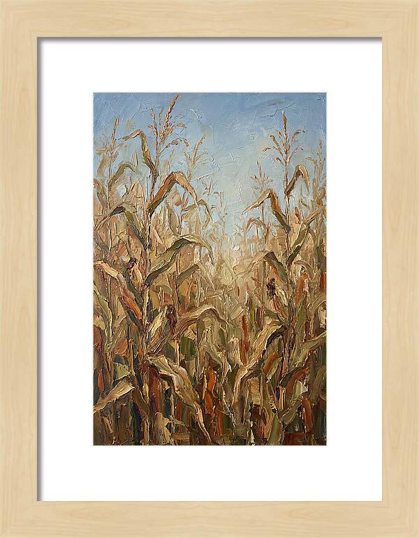 Summer Cornfield Serenity