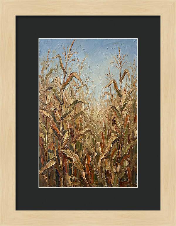 Summer Cornfield Serenity