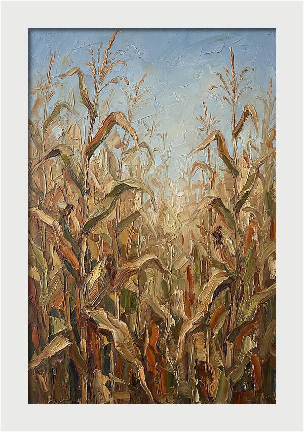 Summer Cornfield Serenity